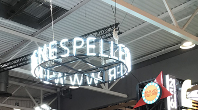 Enseignes Néon et Événementiel : L'Impact Visuel au Cœur de l'Expérience