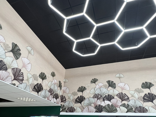 Décors muraux  / Relooking mobilier / Marquage véhicules